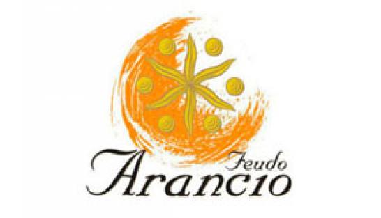 Weingut Feudo Arancio Italien