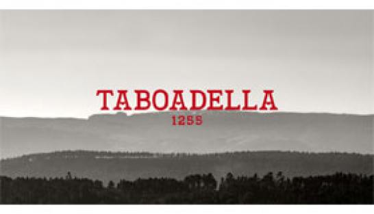 Logo Quinta Da Taboadella Portugal Dao